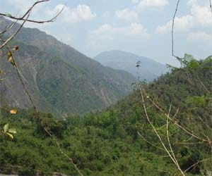 Kalsi the place where greenery alives