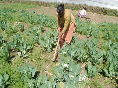 story on women's day
