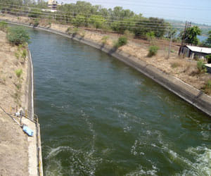3 women in Bihar commit suicide by jumping into canal to escape rape