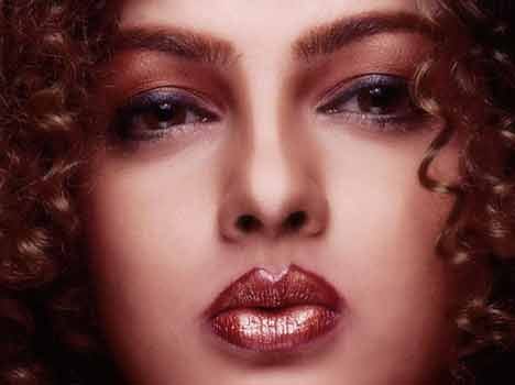 meenakshi sheshadri, mandakini