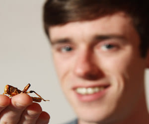 man who eat cricket