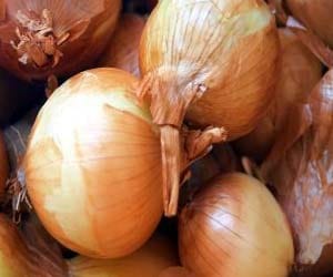 spill the beans in onion filling heroin trafficking