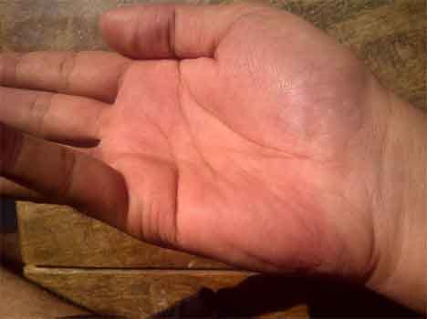 palmistry guru parvat mount of jupiter