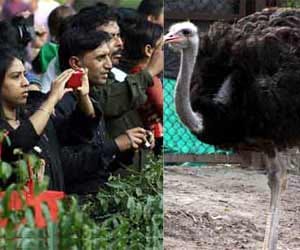 zoo in dehradun.