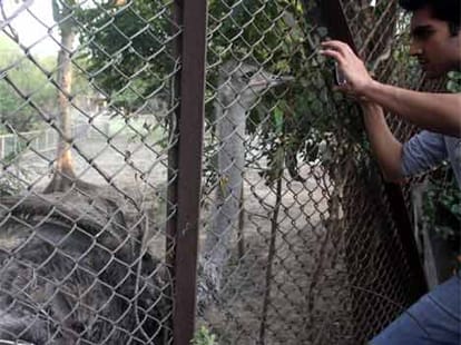 people bereaks rule in delhi zoo again.