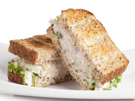 Vegetable Mayonnaise Sandwich