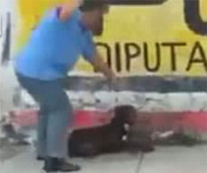 mexican dog owner kills his pet dog to death 