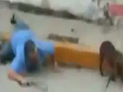 mexican dog owner kills his pet dog to death 
