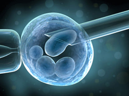 egg donation caused sushma death