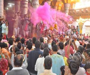 herbal holi