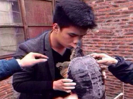 turtle bites a boy