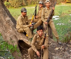 forest department alert