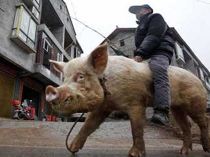 pig_man_ride