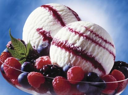 Indian cricket team gives Australia food in Test series.