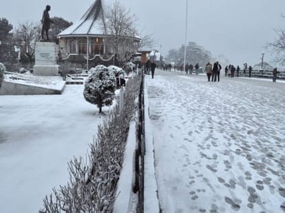 why the dream to make shimla like europe is shattered?