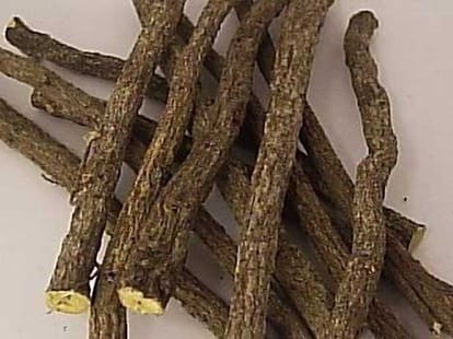 natural home remedies for hair loss
