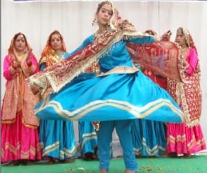Cipur fair starts at mashobra