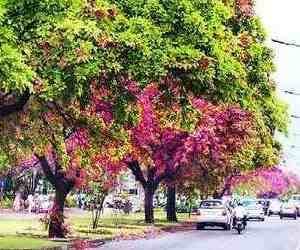 CII Green Building Concept Launched
