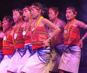 North Zone Cultural Society Programme in Plaza