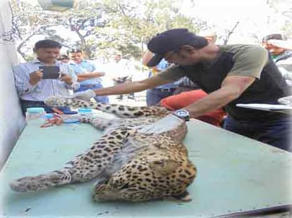 woman killed leopard in uttarakhand