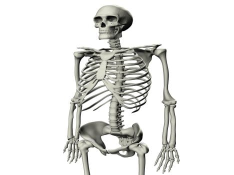 skeleton found in cave at Arki