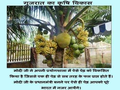 jokes_best jokes_hindi jokes_modi jokes
