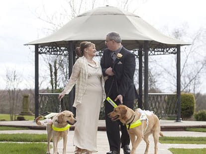 Blind couplenow married  after their dogs became inseparable 