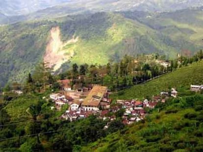 haldwani election news