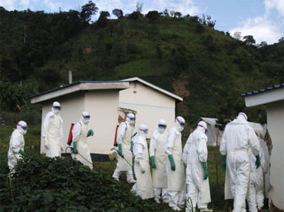 Knock the bird flu in Japan one's again
