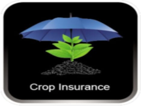 crop insurance commission gets approval