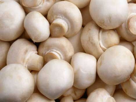 mushroom prevents cancer