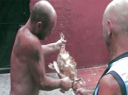 father son torture pets to be happy