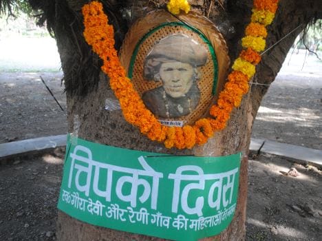 forty year of chipko movement