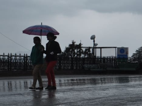 snowfall, raining in himachal pradesh