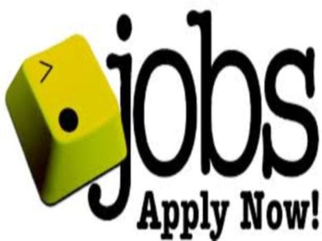 cabinet gives hundreds jobs