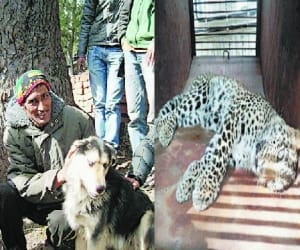 jamboo fight with leopard