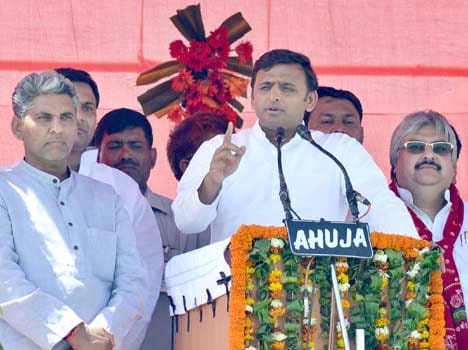 we have caught gujarat's lion in cage says akhilesh
