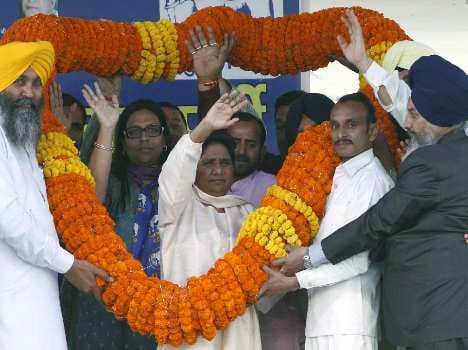 dhoni become candidate of bsp