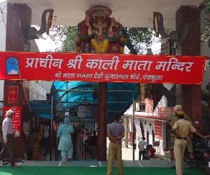 Rumor:  lion on Kali Mata temple of kalka shakti peeth