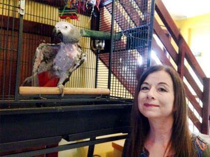 parrot put to death as he kept repeating dead owner's name 