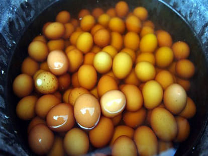 women who stinks like roten eggs and fishes