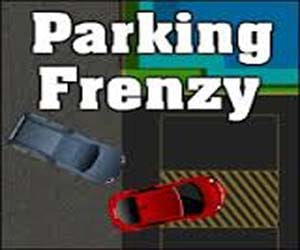 Parking Frenzi new york