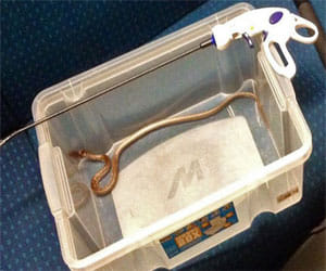 450 people evacuated after being informed about a snake in the train