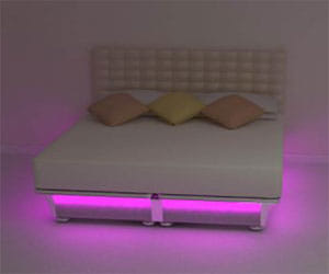 balluga bed would transform your life