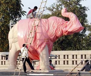 Noida Authority covering BSP elephant