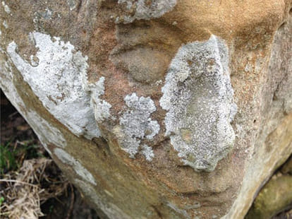 Rock fell on a moving bus, a death