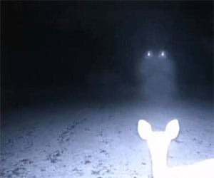another UFO seen