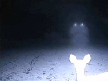 another UFO seen