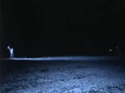 another UFO seen