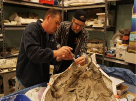 beer made from yeast found in whale's body